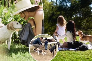 Meghan Markle shares new photos of Archie and Lilibet while mourning her late dog